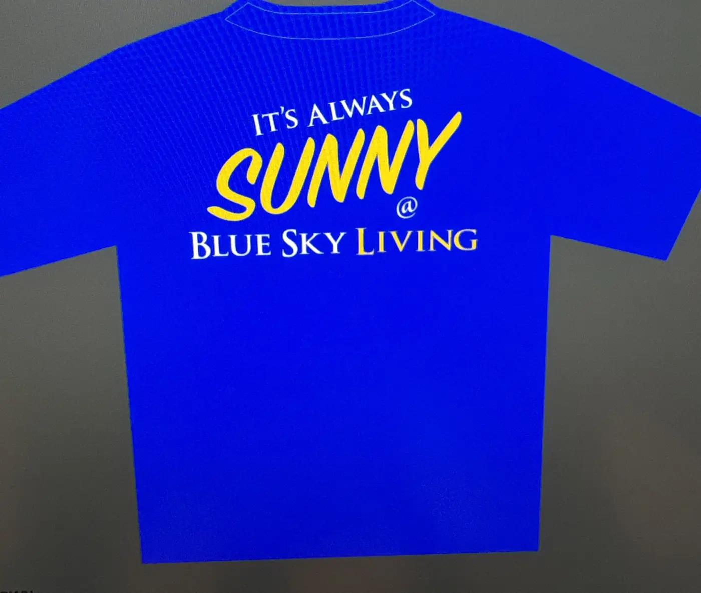 Blue T-shirt with "It's always sunny @ Blue Sky Living" across the back